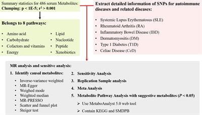 Identifying serum metabolite biomarkers for autoimmune diseases: a two-sample mendelian randomization and meta-analysis